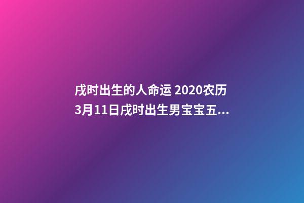 戌时出生的人命运 2020农历3月11日戌时出生男宝宝五行八字是什么，八字还缺什么？（起名字作为参考）-第1张-观点-玄机派